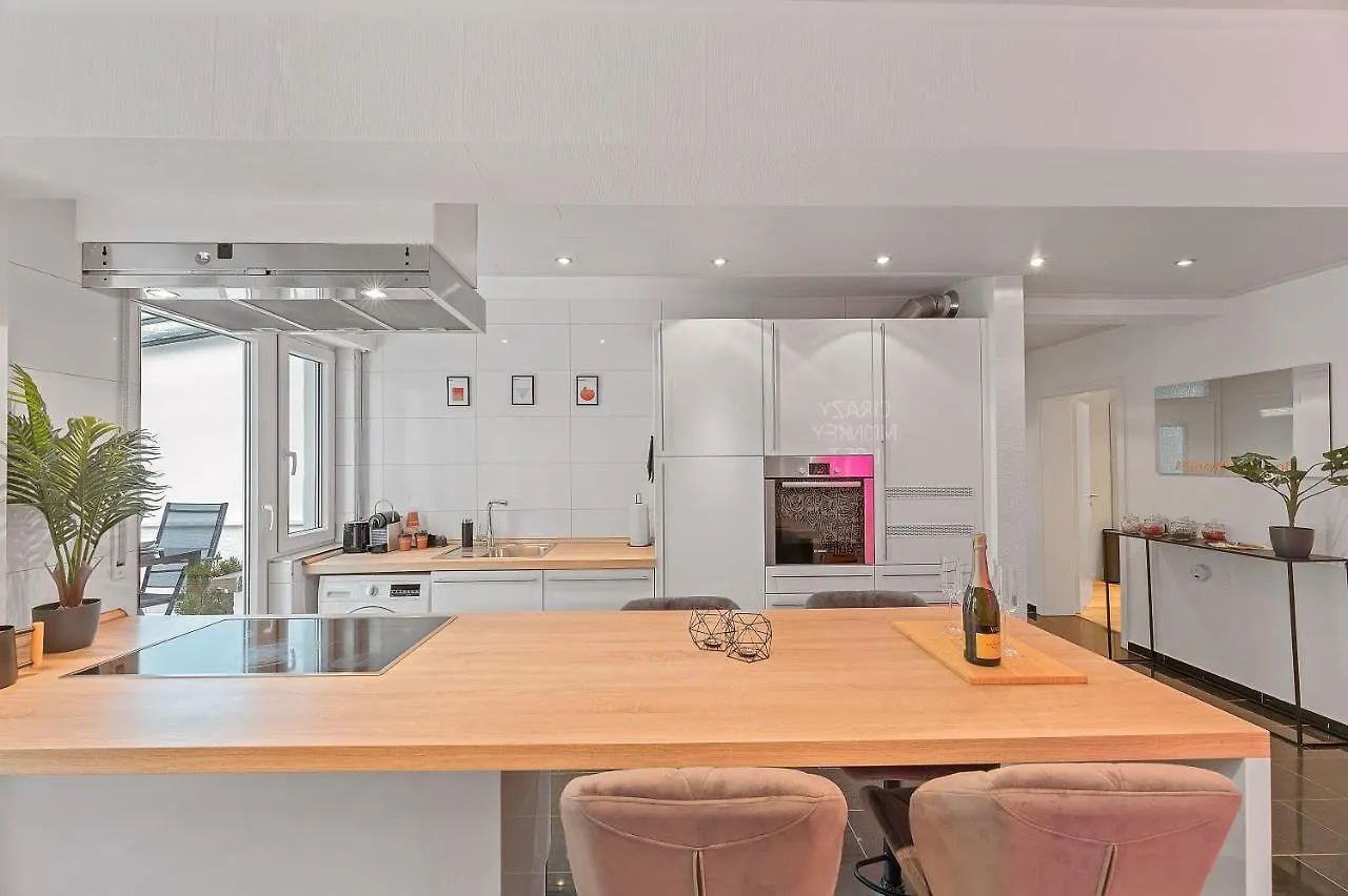 Das Crazy Monkey Loft Mit 100Qm & Summerlounge Apartment Stuttgart